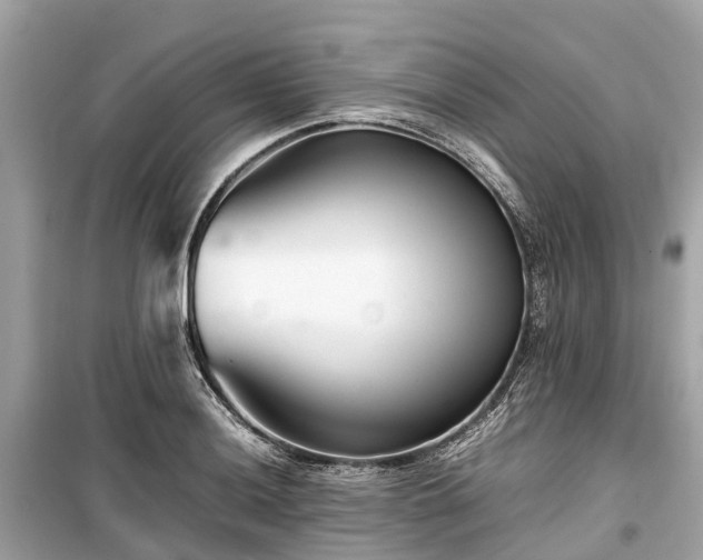 X0000099431036200805161105