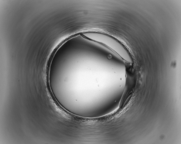 X0000099431038200805161105