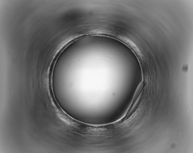 X0000099431039200805161105
