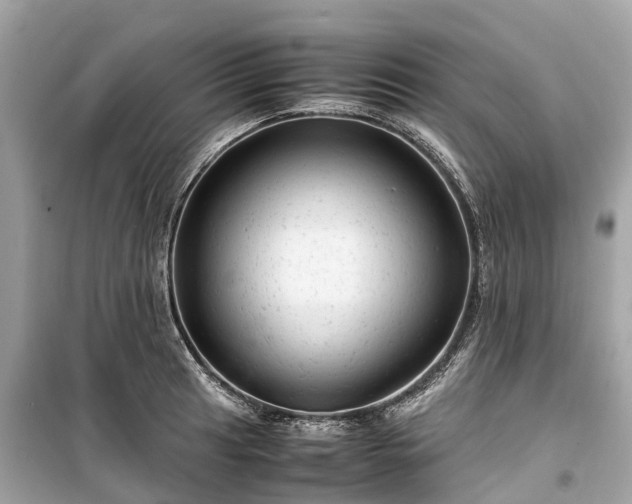 X0000099431041200805161105