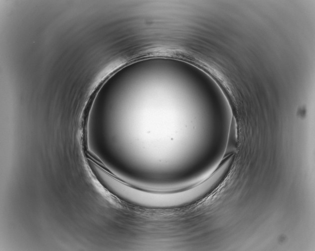 X0000099431042200805161105