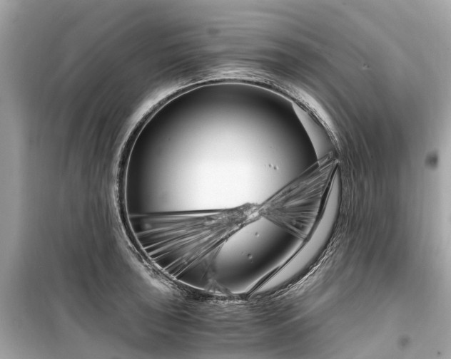 X0000099431043200805161105