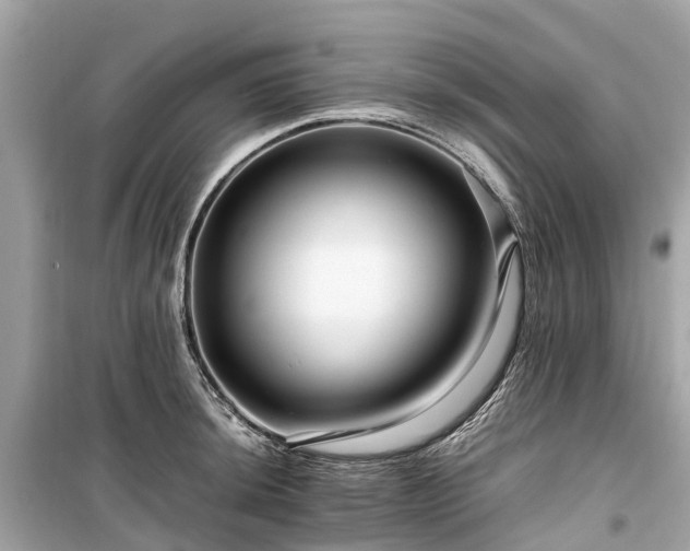X0000099431044200805161105