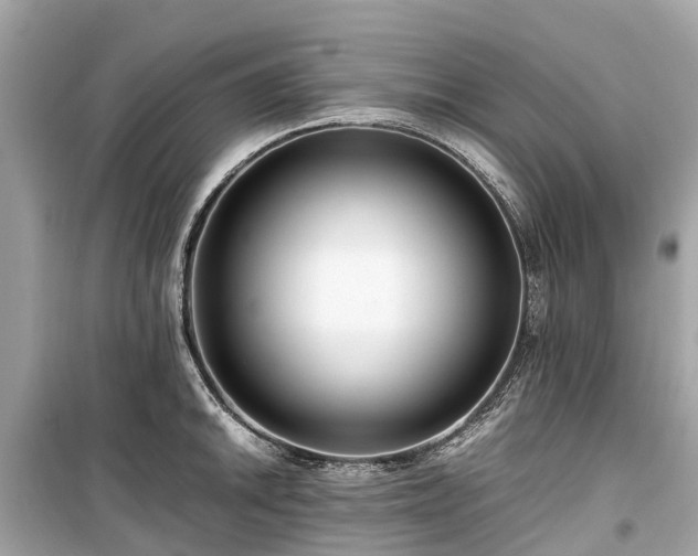 X0000099431046200805161105