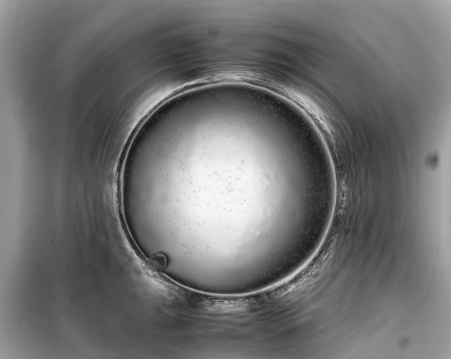 X0000099431047200805161105