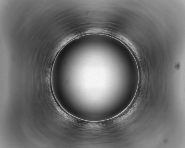 X0000099431049200805161105