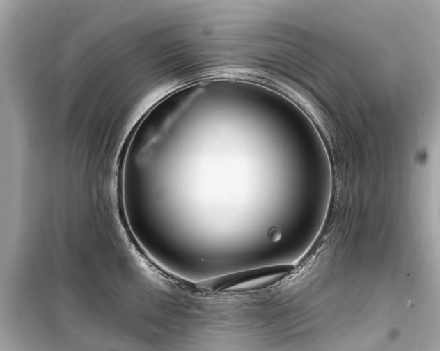 X0000099431050200805161106
