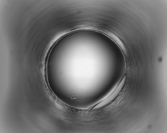 X0000099431051200805161106