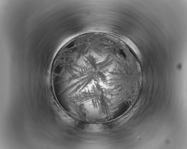 X0000099431052200805161106