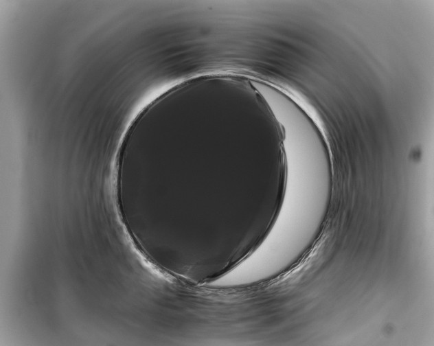 X0000099431053200805161106