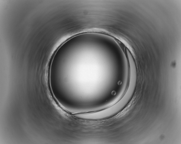 X0000099431054200805161106