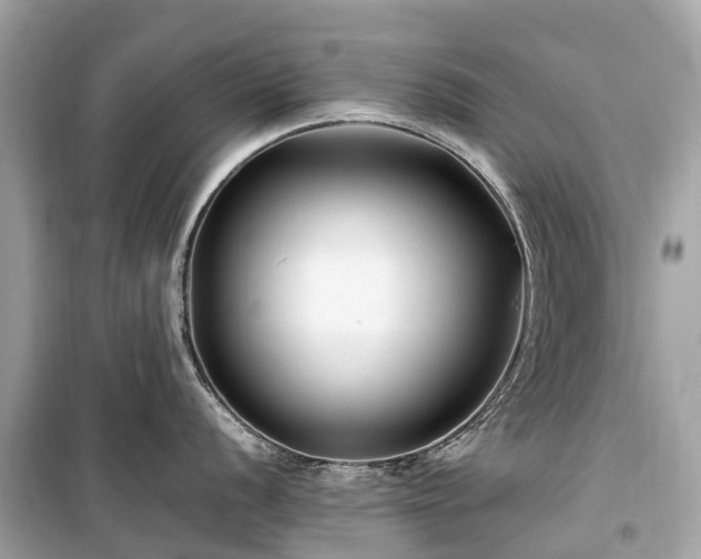 X0000099431056200805161106