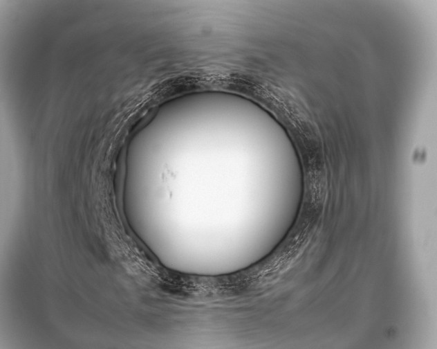 X0000099431057200805161105