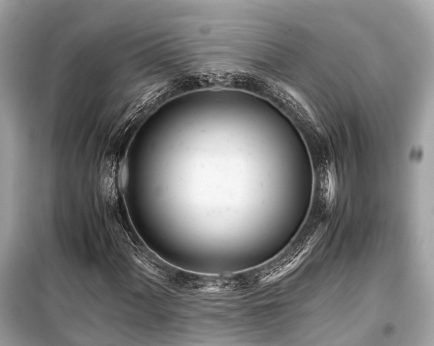 X0000099431060200805161105