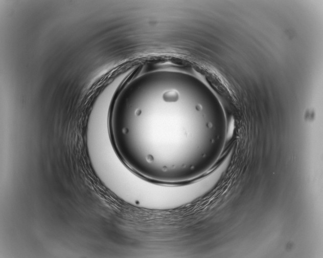 X0000099431064200805161105