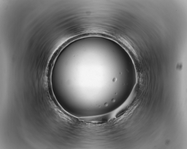 X0000099431068200805161105