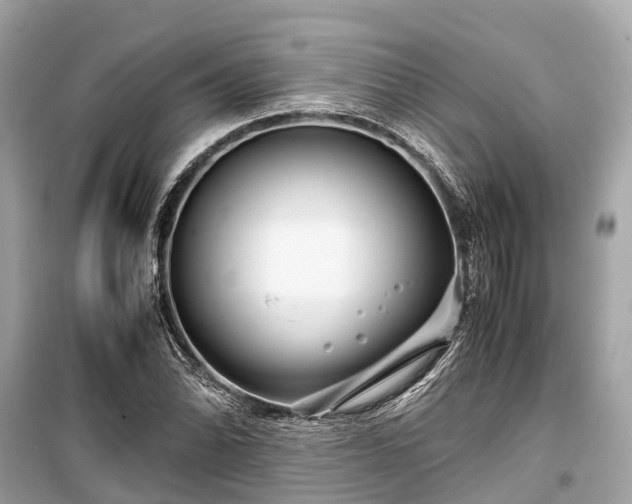 X0000099431070200805161105
