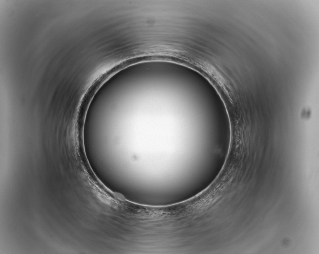 X0000099431072200805161105