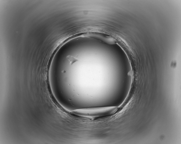 X0000099431081200805161105