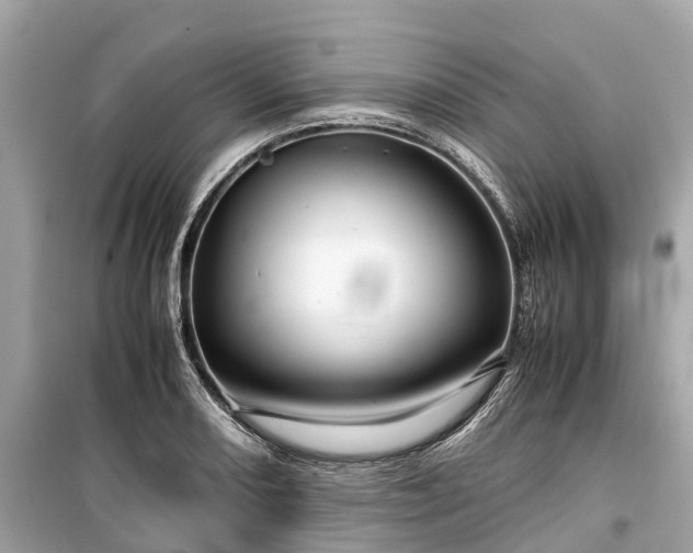 X0000099431082200805161105
