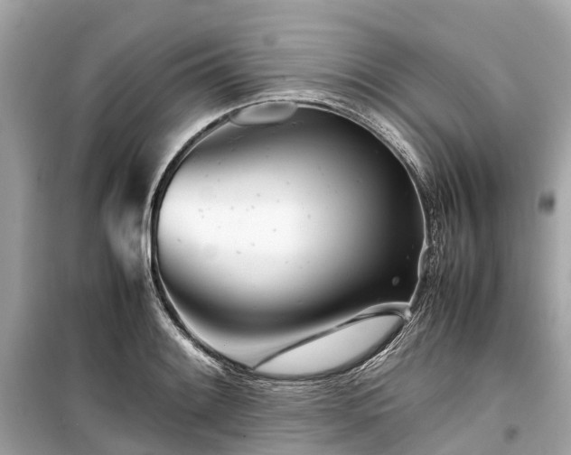 X0000099431084200805161105