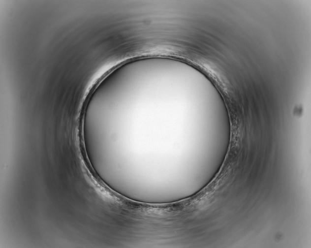 X0000099431086200805161104
