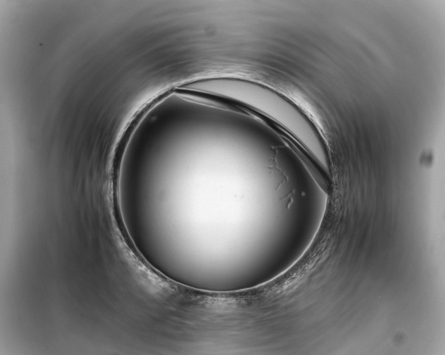 X0000099431088200805161104