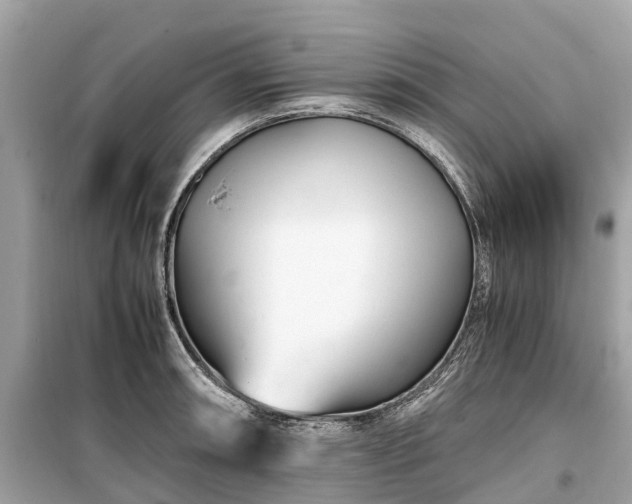 X0000099431090200805161104