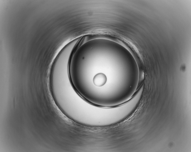 X0000099431091200805161104