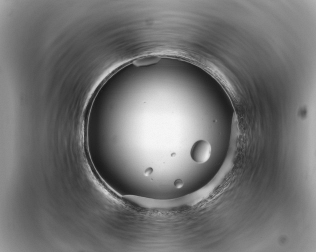 X0000099431092200805161104