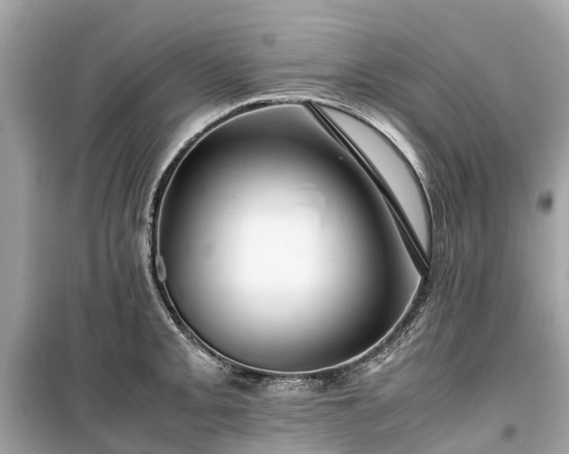 X0000099431093200805161104