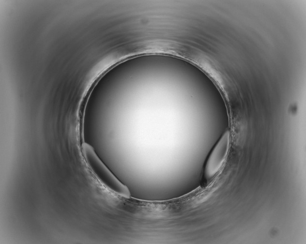 X0000099431096200805161104