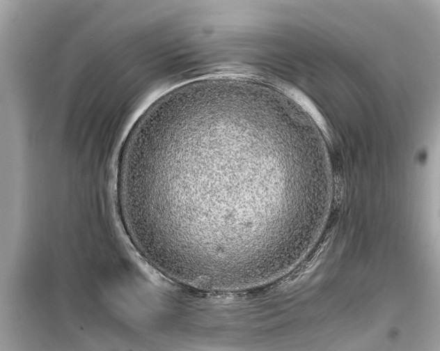 X0000099431099200805161104