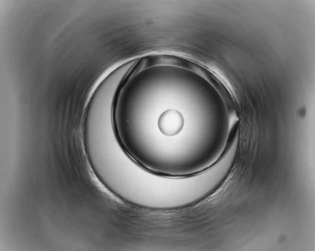 X0000099431100200805161104
