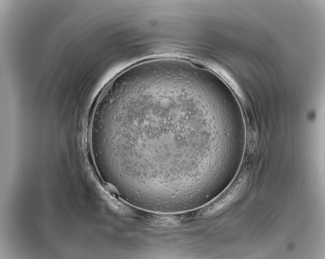 X0000099431101200805161104