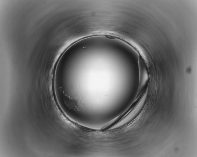 X0000099431102200805161104