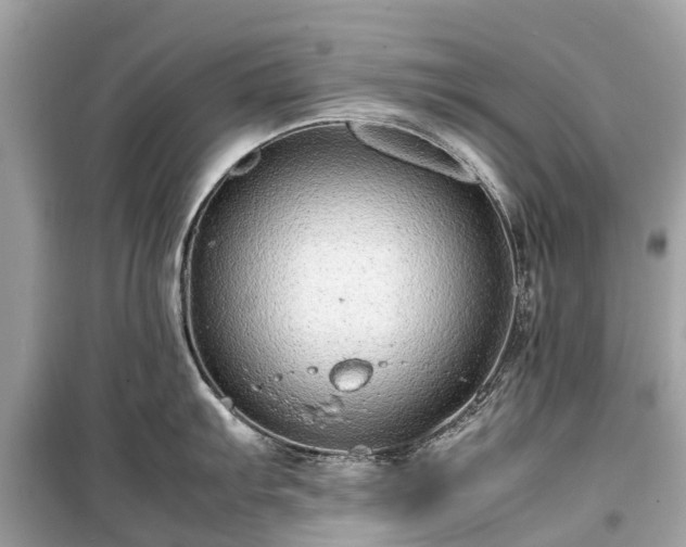 X0000099431103200805161104