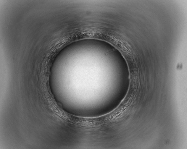 X0000099431105200805161104