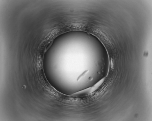 X0000099431107200805161104