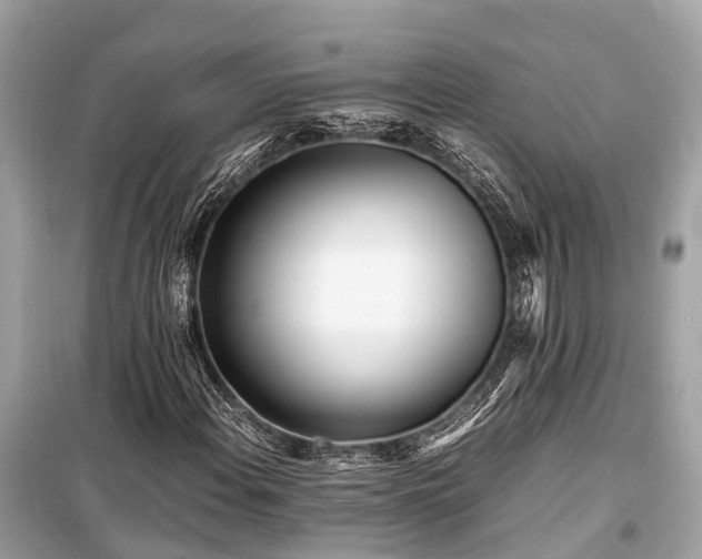 X0000099431108200805161104
