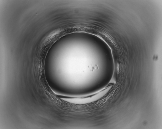 X0000099431111200805161104