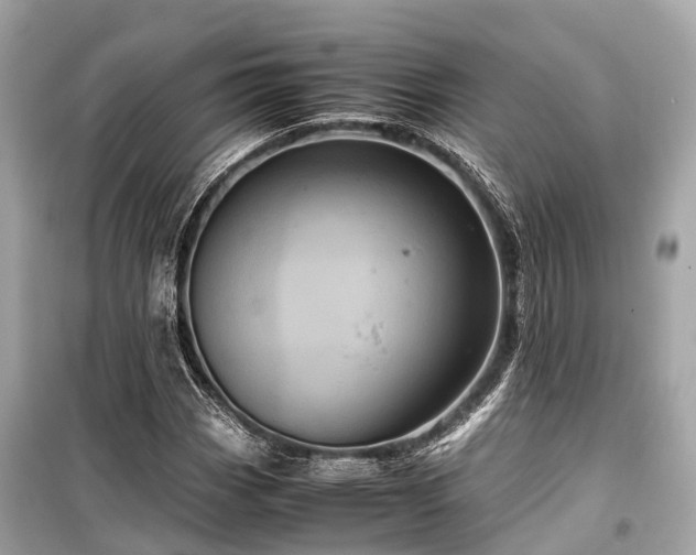 X0000099431113200805161104