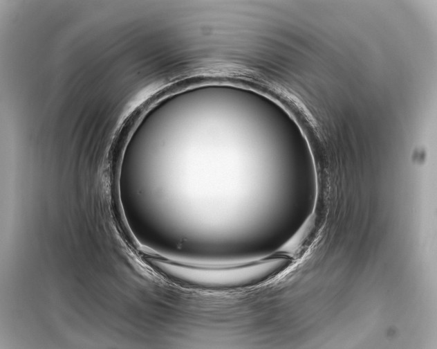 X0000099431114200805161104