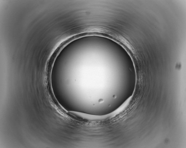 X0000099431116200805161104