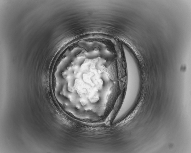 X0000099431121200805161104