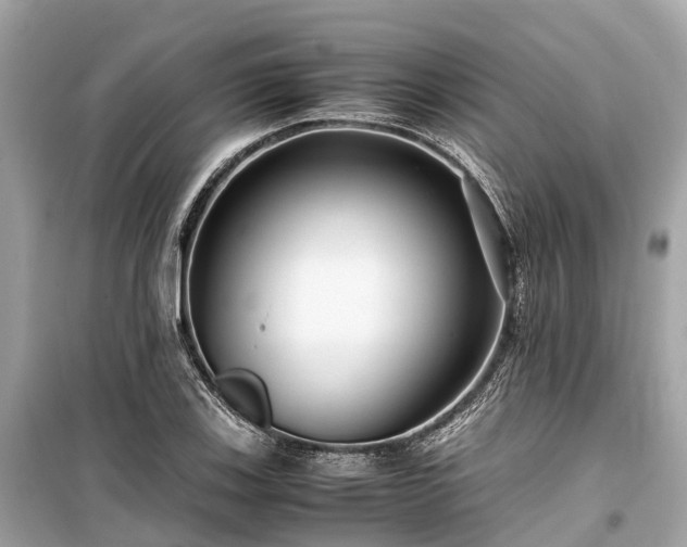 X0000099431123200805161104
