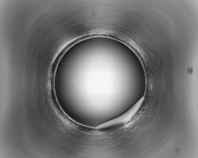 X0000099431124200805161104
