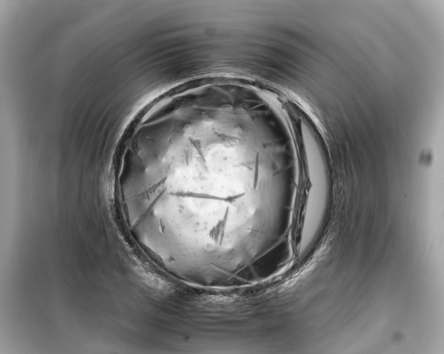 X0000099431125200805161104