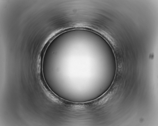 X0000099431126200805161104