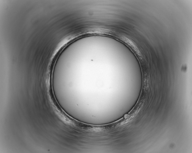 X0000099431130200805161104